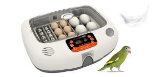 Rcom MX20 egg incubator hatcher image 5